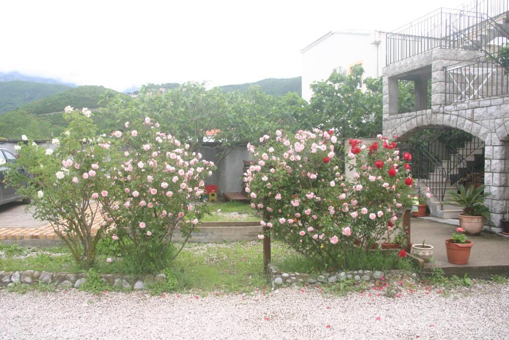 Apartments Savina Budva Exterior foto